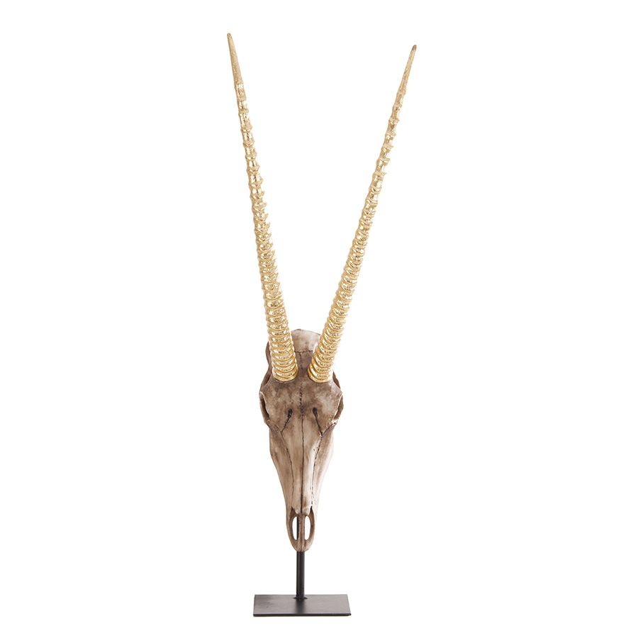 Busto cabra