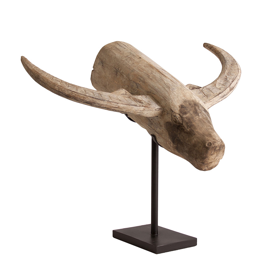 Busto toro