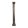 Columna aceline