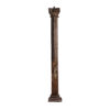 Columna danya