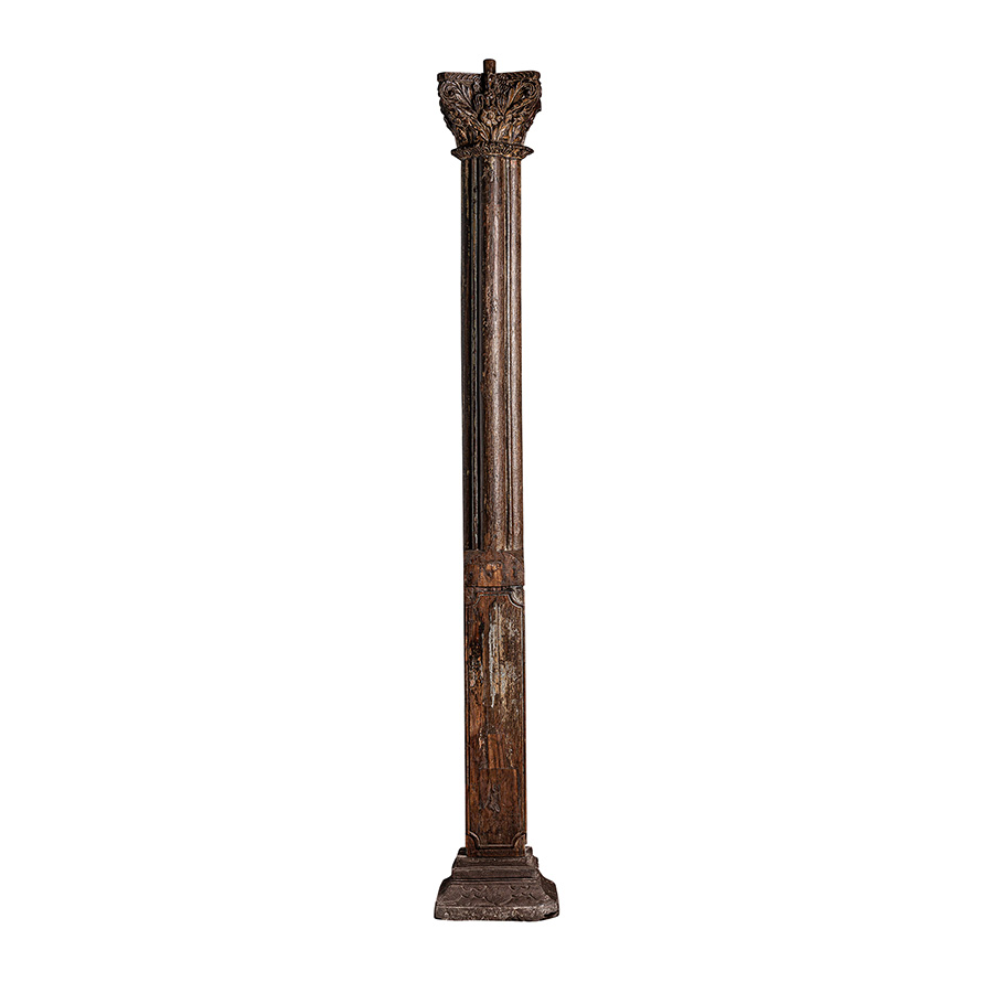 Columna danya
