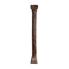 Columna daph