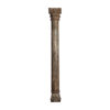 Columna haesel