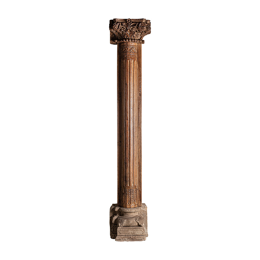 Columna lessie