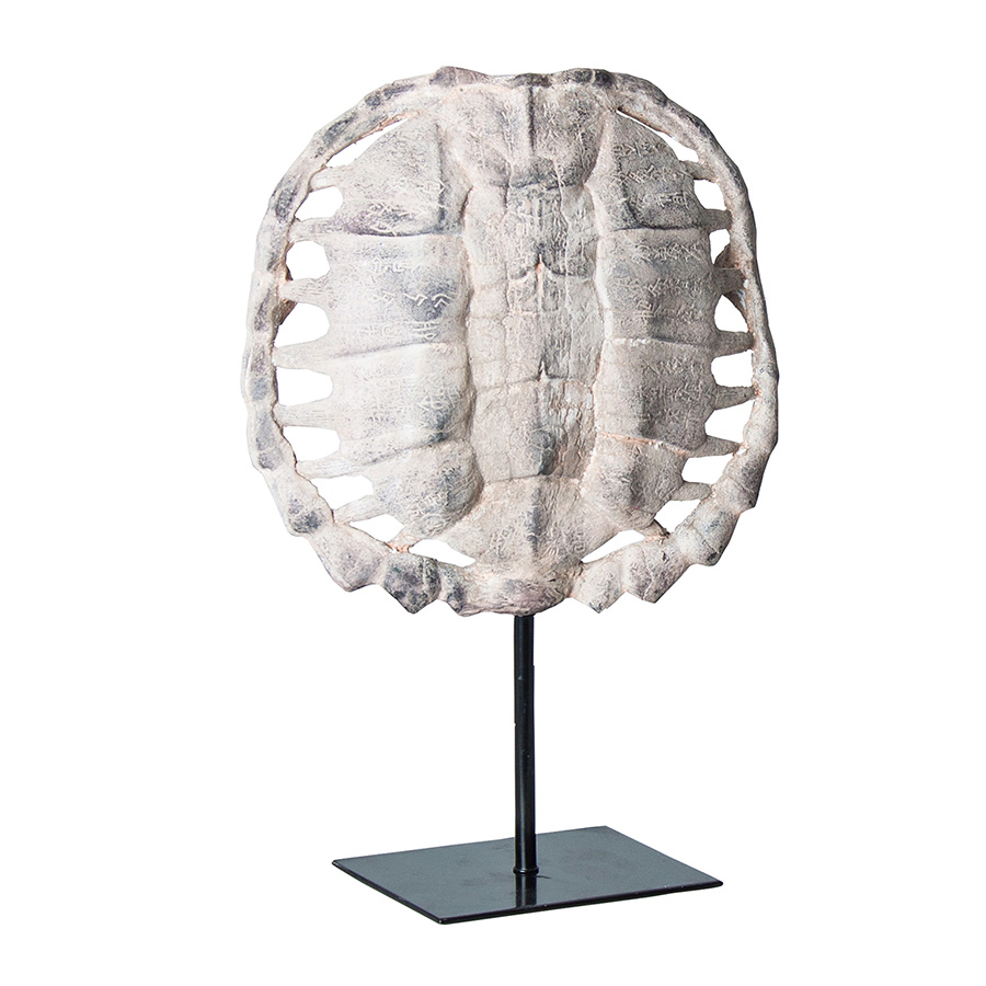 Escultura caparazón tortuga