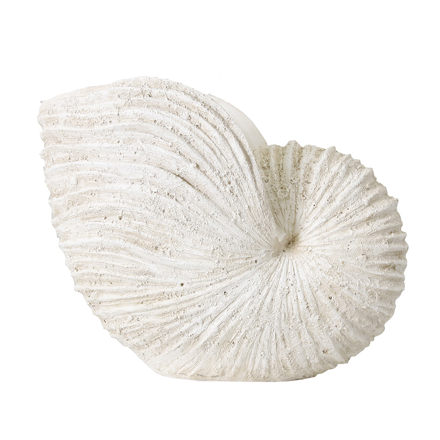 Figura caracola mar