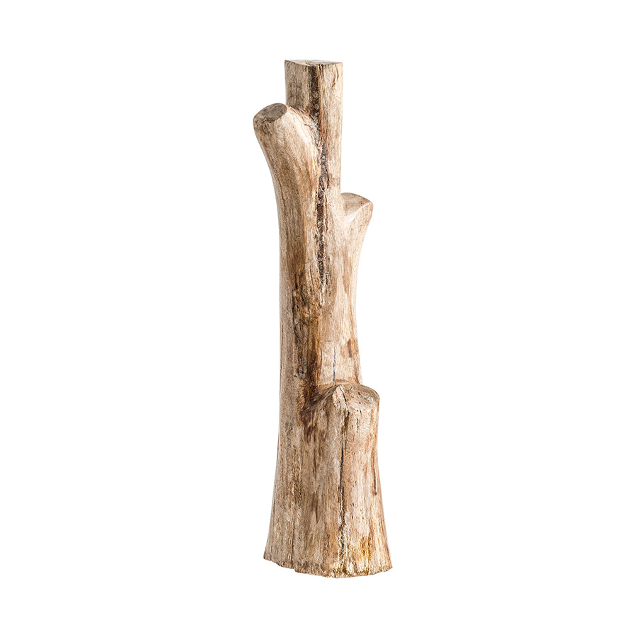 Figura tronco