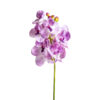 Flor