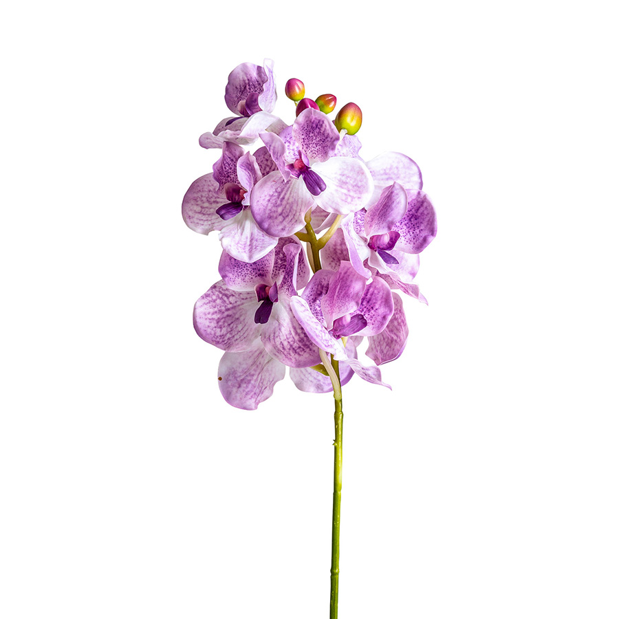Flor
