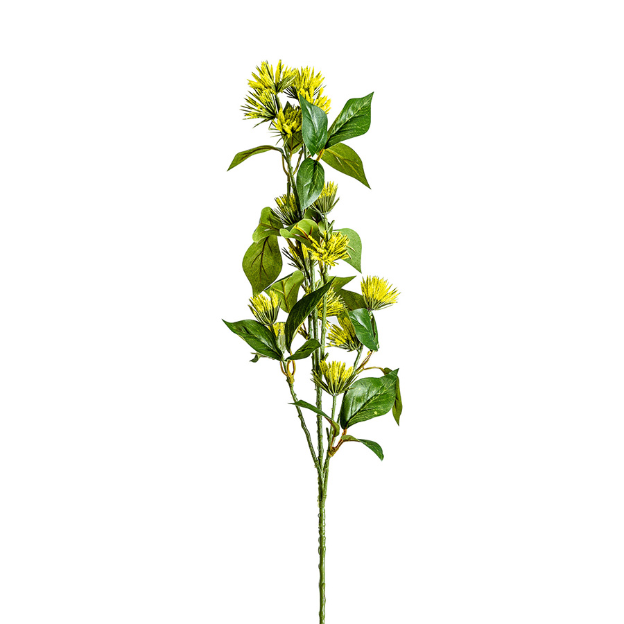 Flor