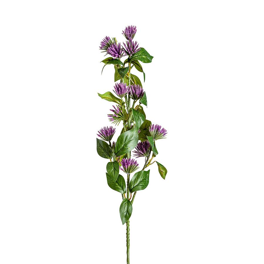 Flor