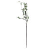Flor almendro