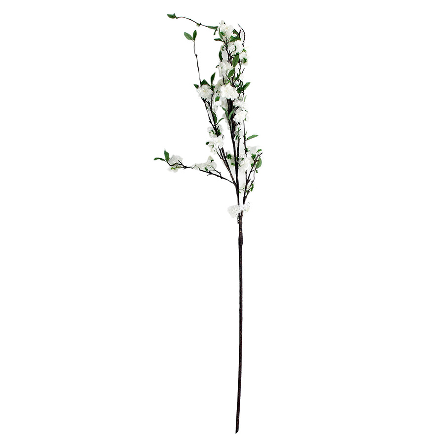 Flor almendro