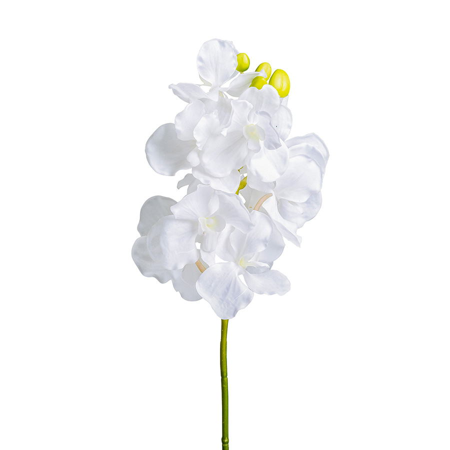 Flor azahar