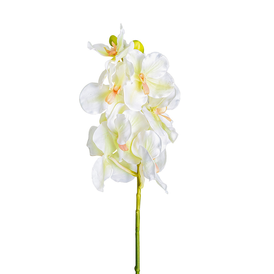 Flor azahar