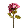 Flor hortensia