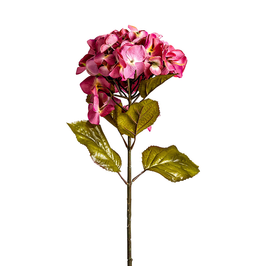 Flor hortensia