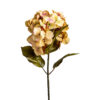 Flor hortensia