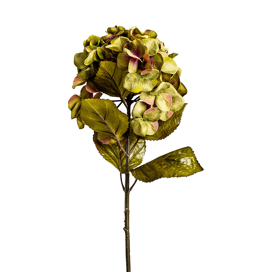 Flor hortensia