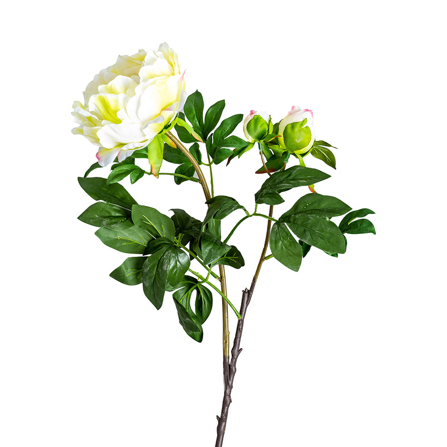 Flor