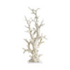 Fósil coral