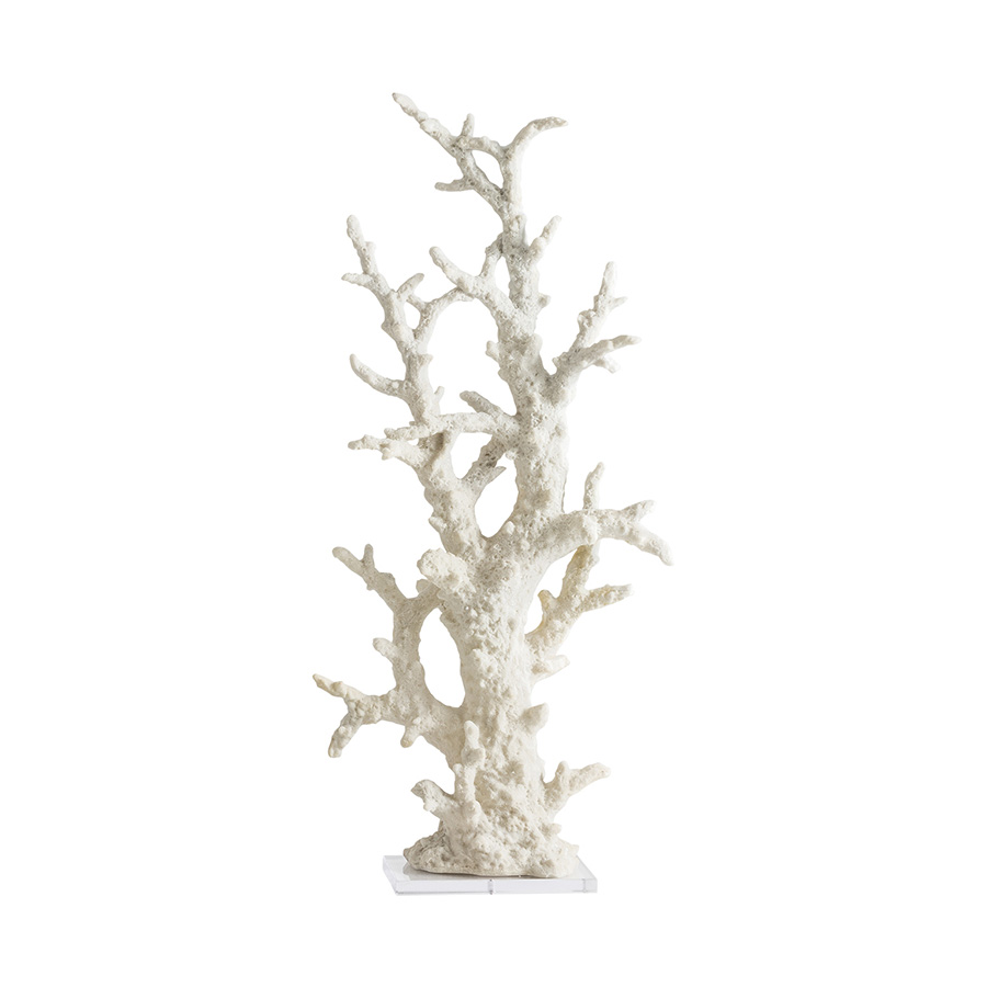 Fósil coral