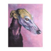Lienzo galgo