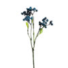 Planta
