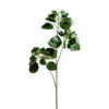 Planta hojas manzano