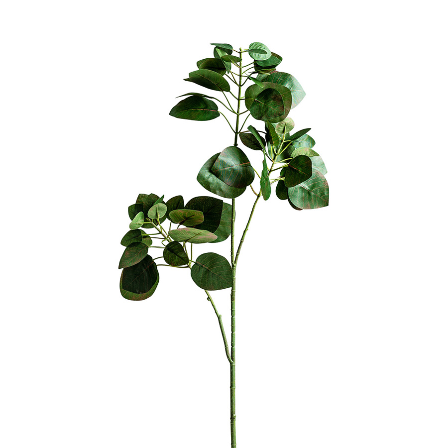Planta hojas manzano