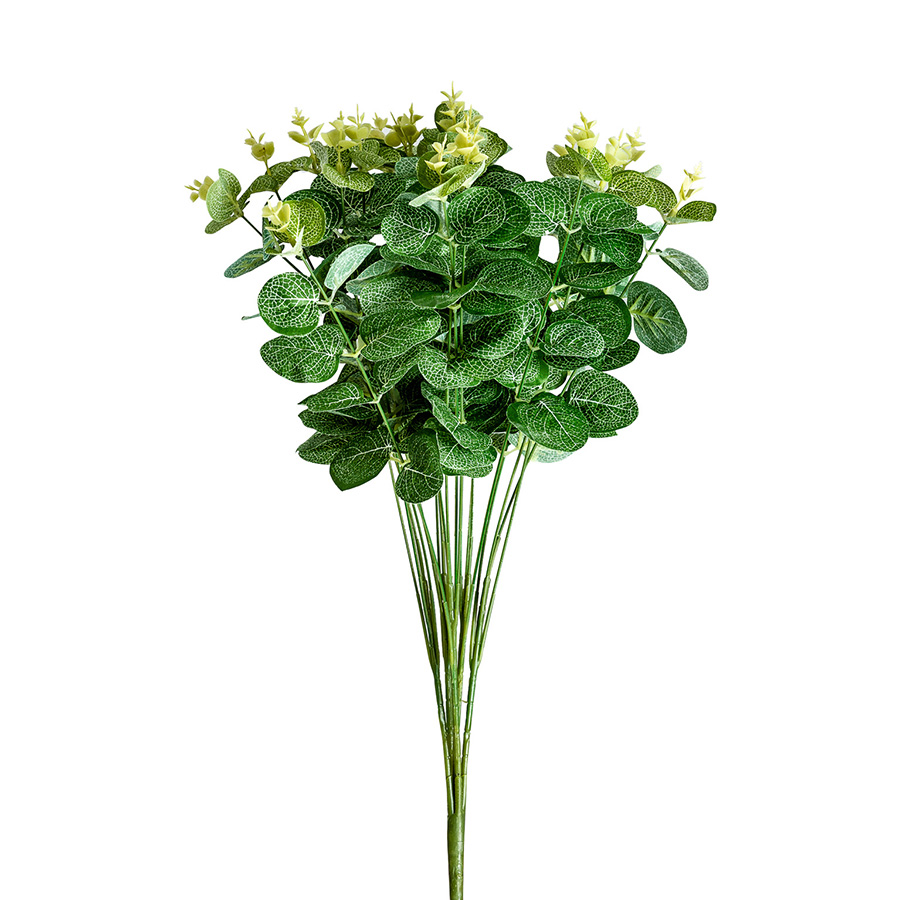Planta