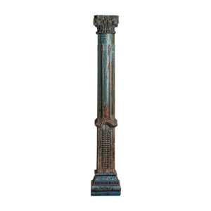 Columna calyce